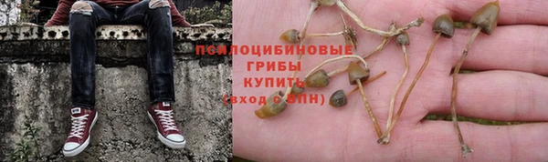 молекула духа Каменногорск