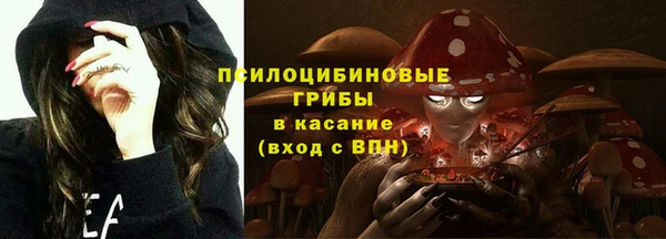 молекула духа Каменногорск