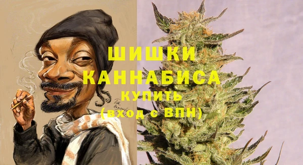 молекула духа Каменногорск
