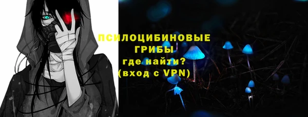 гидропоника Каменка