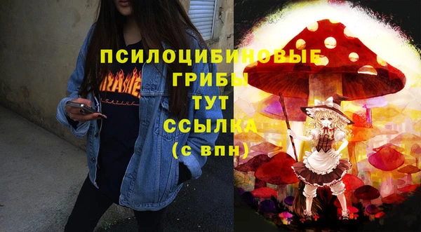 гидропоника Каменка