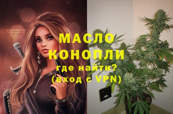 гидропоника Каменка