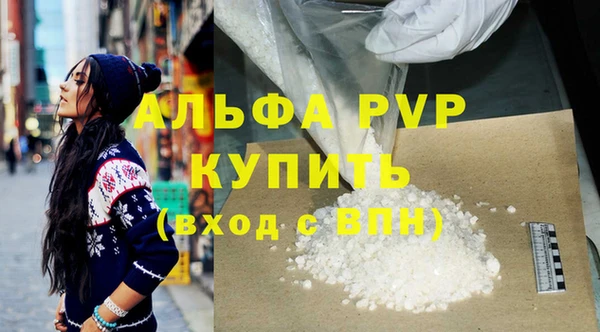 молекула духа Каменногорск