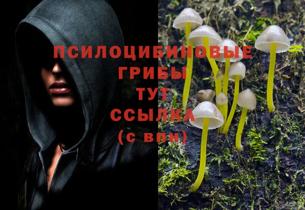молекула духа Каменногорск