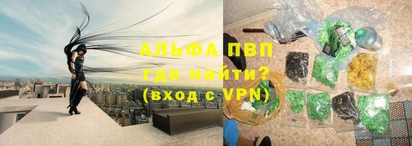 молекула духа Каменногорск